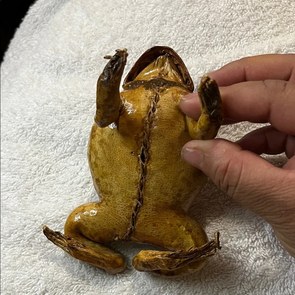 Realistic Brown Toad Ornament for Reptile Enclosures
